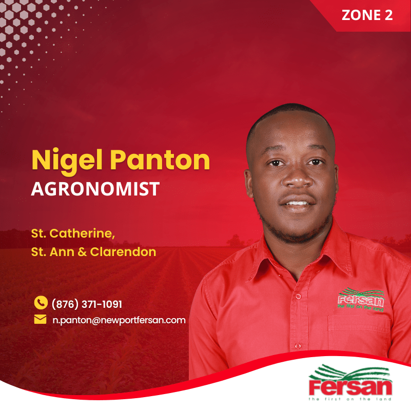 Danavan Pryce is the Agronomist for St. Elizabeth and Manchester. You may contact him at (876) 552-0520 or d.pryce@newportfesan,com 
