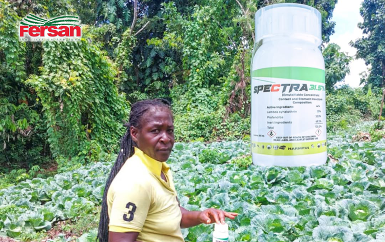 Control Whiteflies with&nbsp;Spectra!